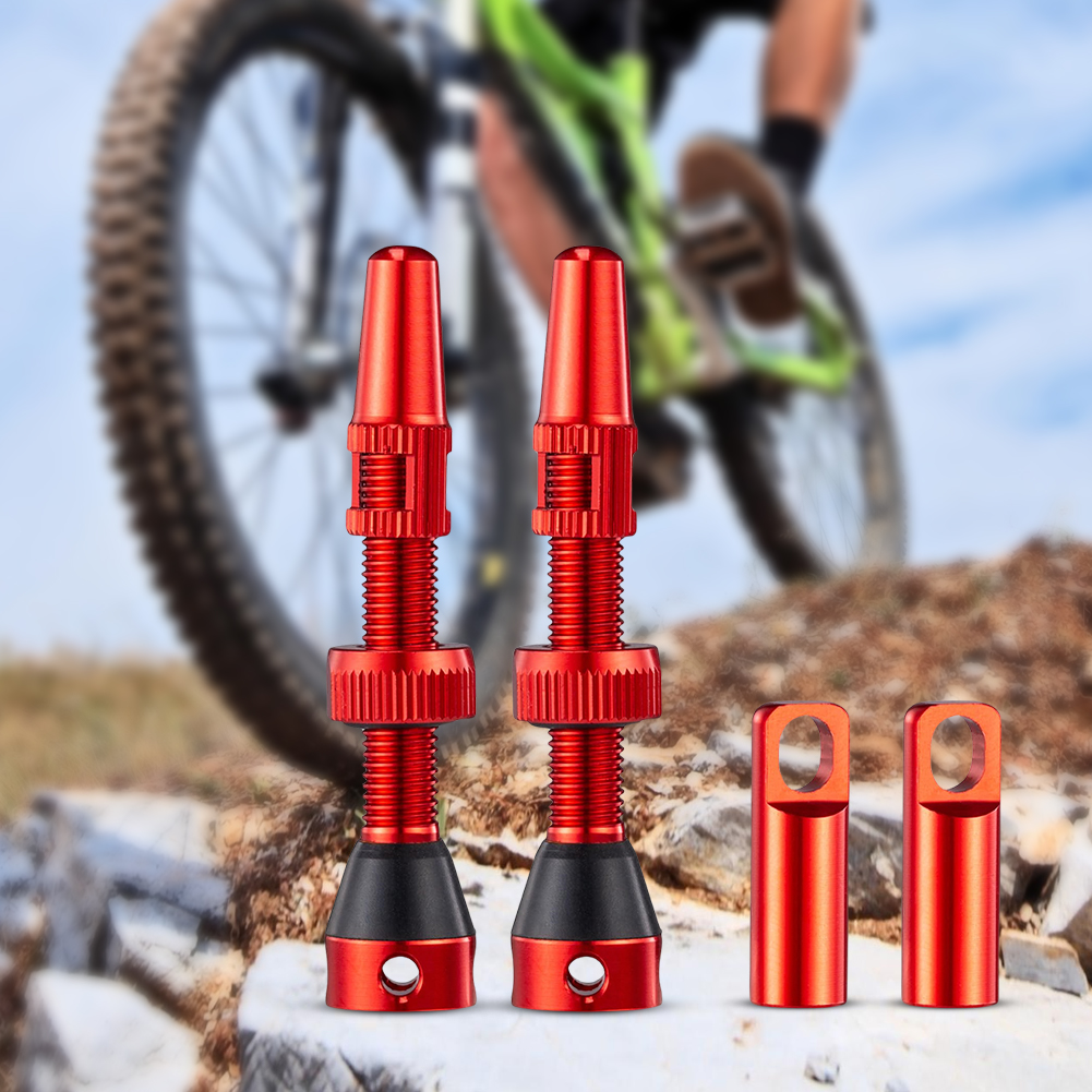 1 paire de vannes Tubeless de  - Gravel Bike Tires avis et prix